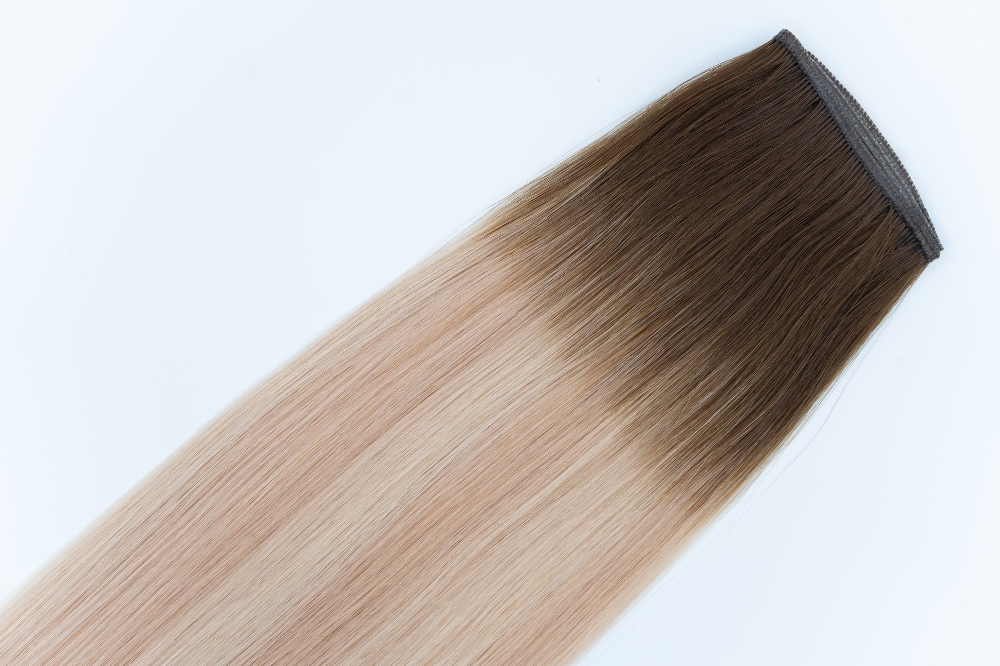 Genius Weft, BOARDROOM BLEND